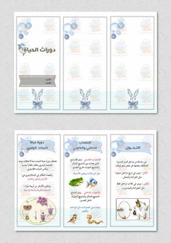 مطوية دورات الحياة مادة ( علوم ) صف خامس ابتدائي