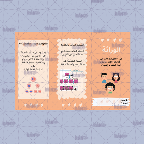 مطوية الوراثه علوم سادس ابتدائي