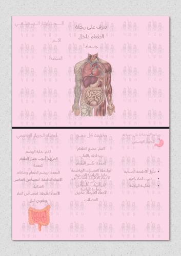 الجهاز الهضمي علوم ثاني متوسط