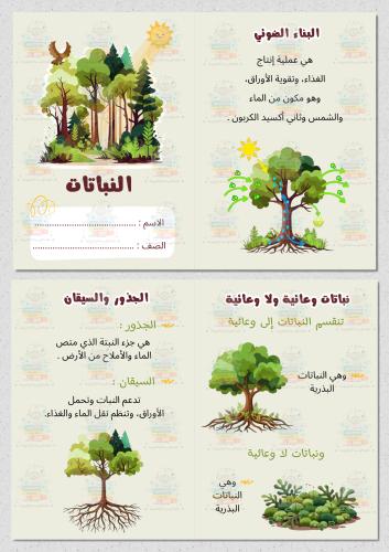 النباتات علوم خامس ابتدائي