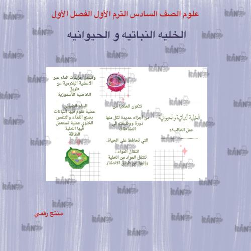 مطوية الخلية النباتية والخلية الحيوانية مادة ( علو...