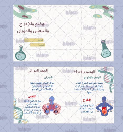 الهضم والاخراج والدوران والتنفس علوم سادس