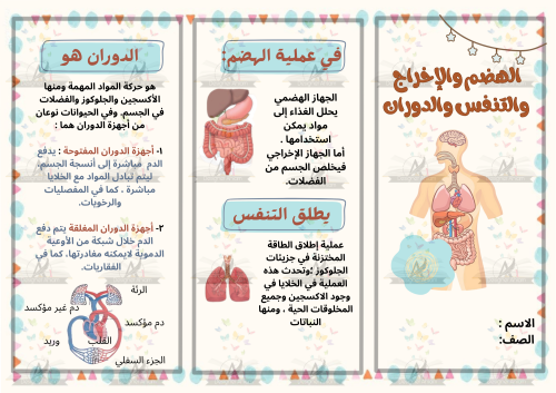 مطوية الهضم والإخراج والتنفس والدوران سادس ابتدائي