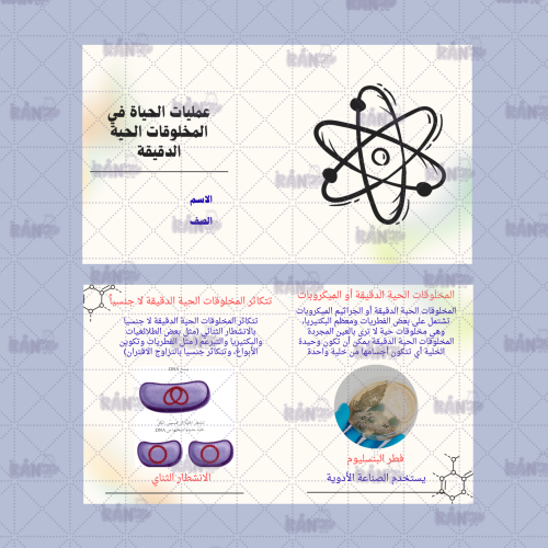 عمليات الحياة في المخلوقات الحية الدقيقة علوم سادس