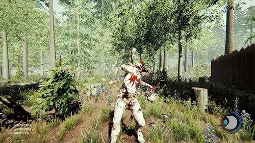 ذا فورست - The Forest