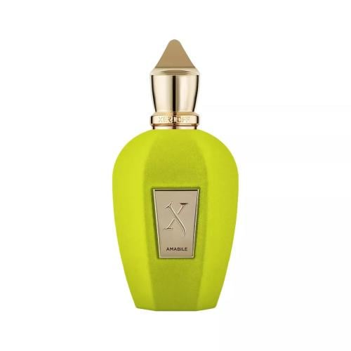 عطر زيرجوف امابيل او دو بارفيوم 100ملXerjoff Amabi...
