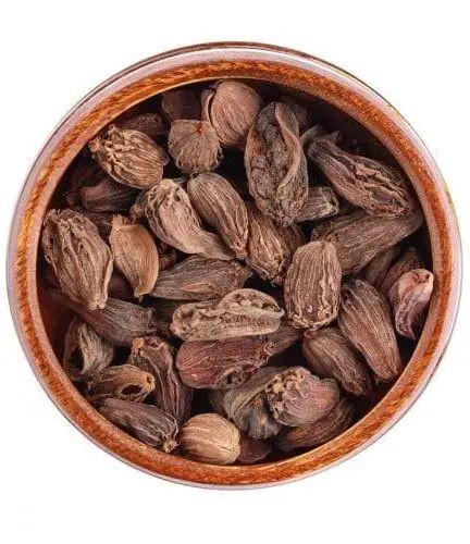 هيل هندي اسود جامبو