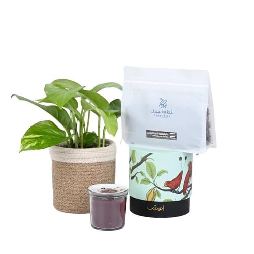 هدية البوتس المترف