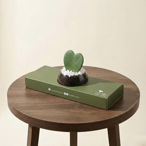 توزيعات القلب