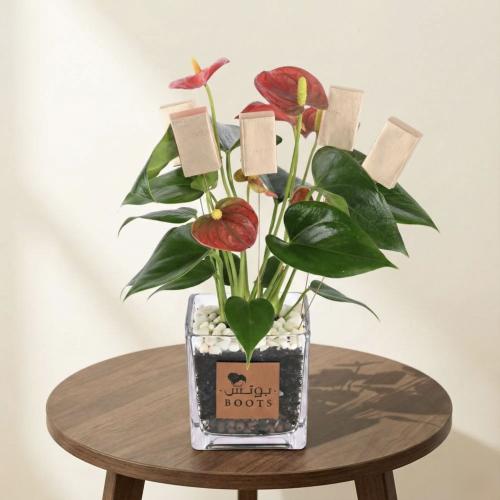 هارموني كلاس