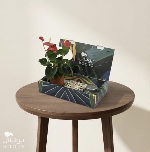 أنثوريوم رويال بوكس