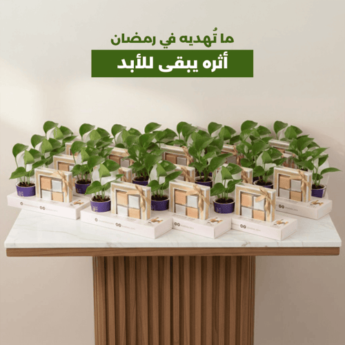 هدية رمضان نبتة البوتس مع شوكولاتة بستاني