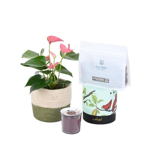 هدية الحديقة الخاصة