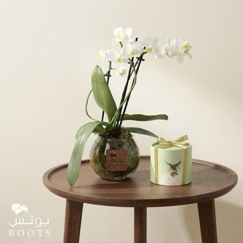 أوركيد اللمعة