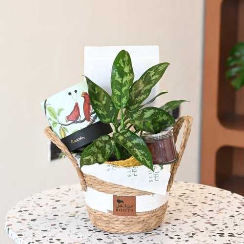 هدية الأوراق المنقوشة