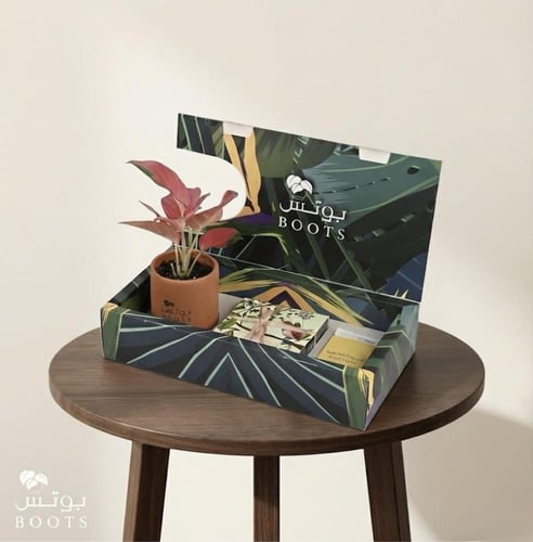 بوكس ريد إليغانس