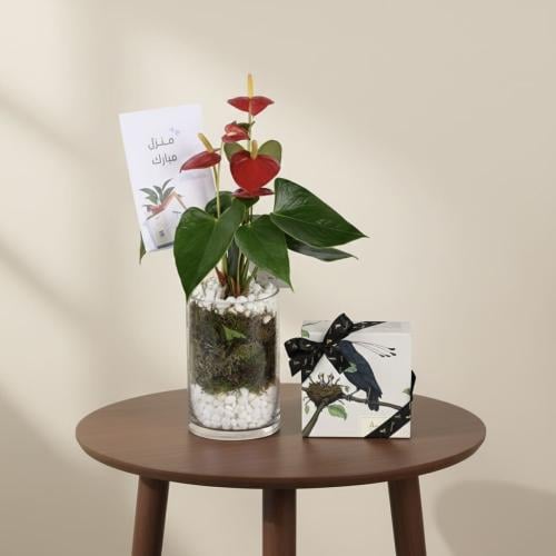 باقة الحواس - منزل مبارك