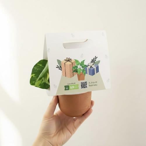 بوتس توزيعة هدية كلاسيكية