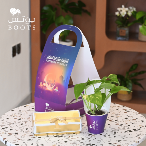 هدية نبتة البوتس مع شوكولاتة بستاني