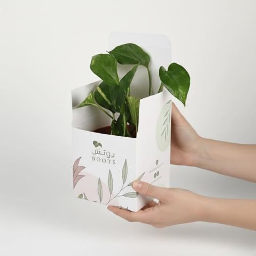 إهداءات مودرن - بوتس