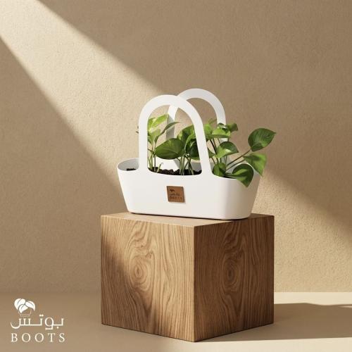 سلة الحياة
