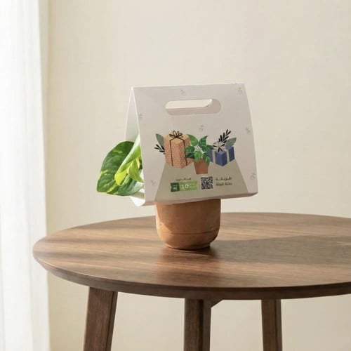 بوتس توزيعة هدية كلاسيكية