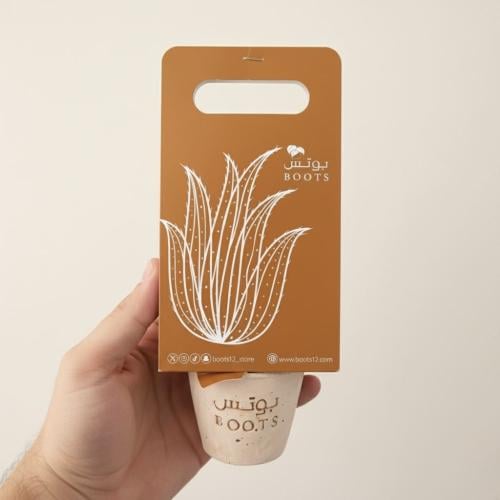 أناقة هوارثيا