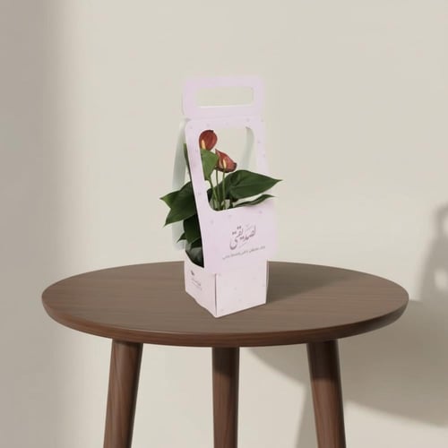 هدية النبتة الحمراء (لصديقتي)