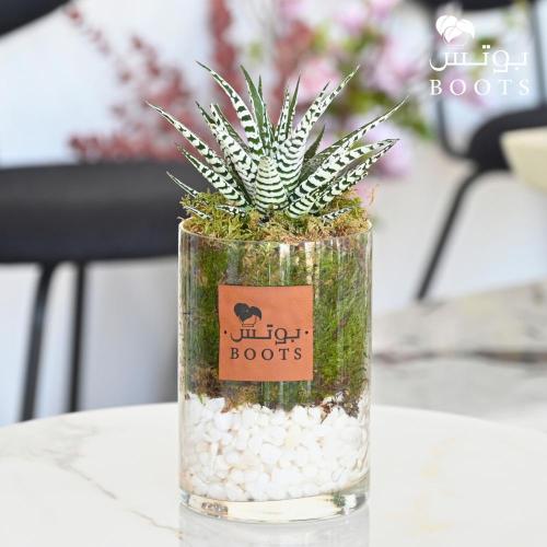 لمسة الزيبرا