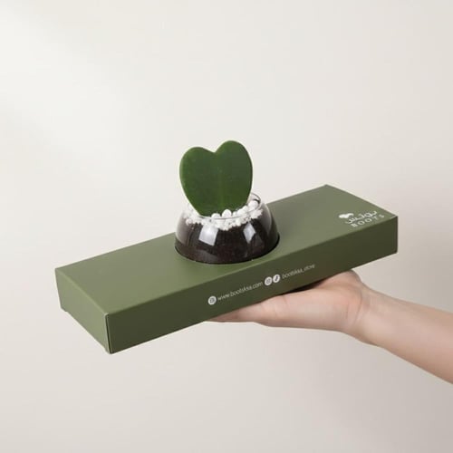 توزيعات القلب