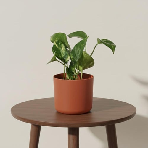 إهداءات مودرن - بوتس