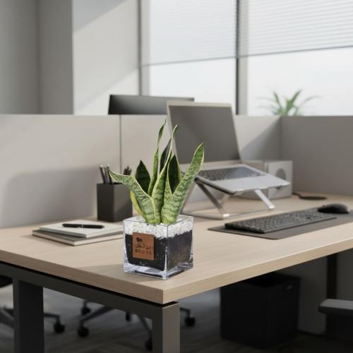 سيف الغابة مناسبة للمكاتب