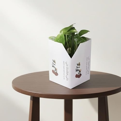 بوتس مكتبي خلي مكتبك حي