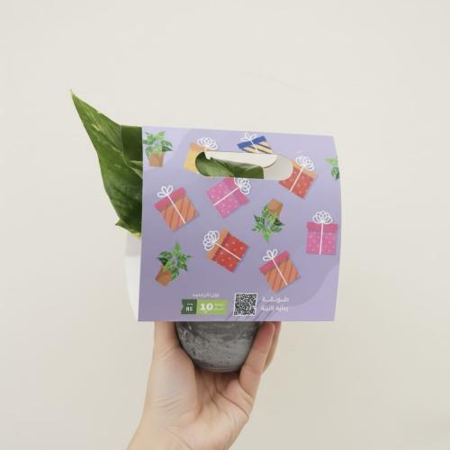 توزيعات نبتة البوتس في هولدر موف