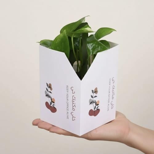 بوتس مكتبي خلي مكتبك حي