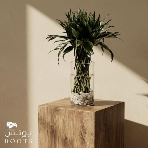 نقاء البامبو