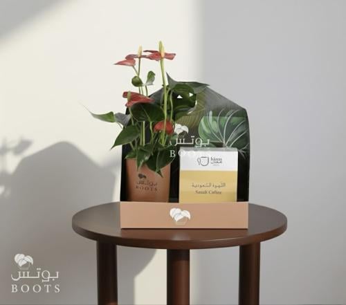 هارموني كوفي