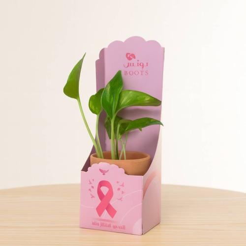 هدية توعوية