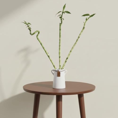 عصا الماء الملكي