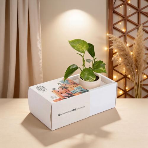 أرِيج العيد