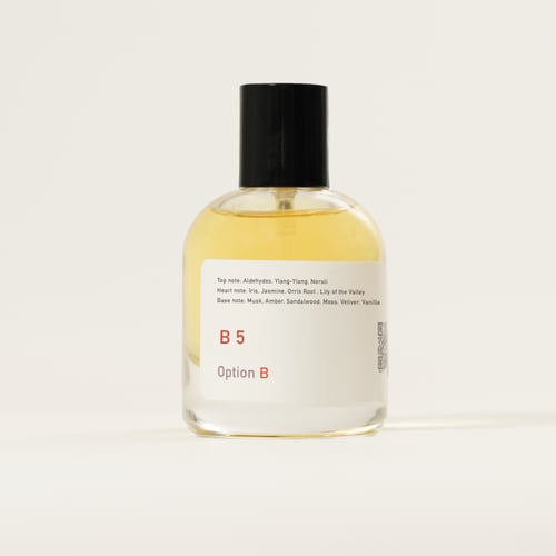 B 5