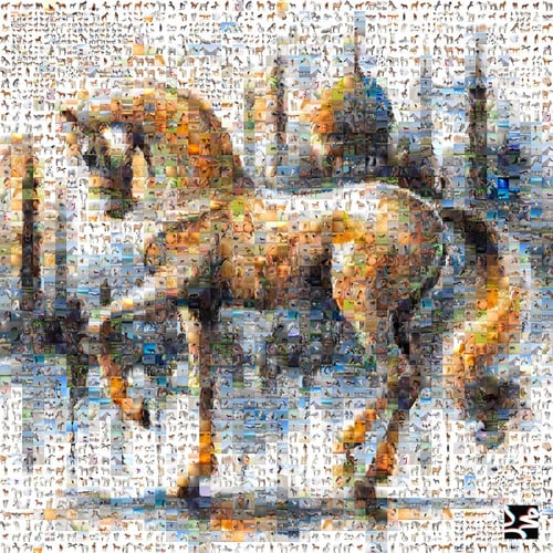 فسيفساء الخيل العربي (ملف رقمي): أصالة الماضي بتقن...