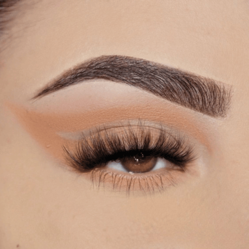 مويرا في لمحة ستيك شادو