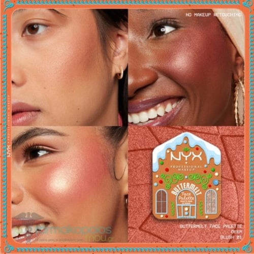 باليت نيكس بلاشر مع اضاءة بيور لي فيساج