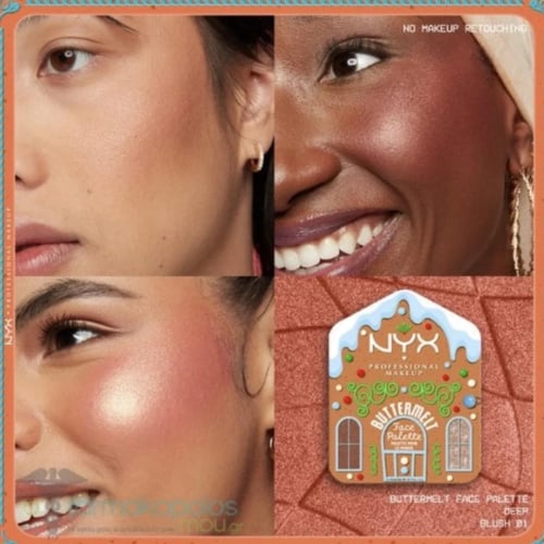 باليت نيكس بلاشر مع اضاءة بيور لي فيساج