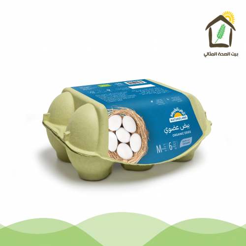 بيض عضوي 100% 1طبق 6 حبة ( متوفر في المحل فقط )