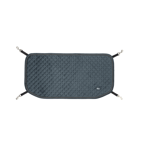 USTEK 27 Green Door guard