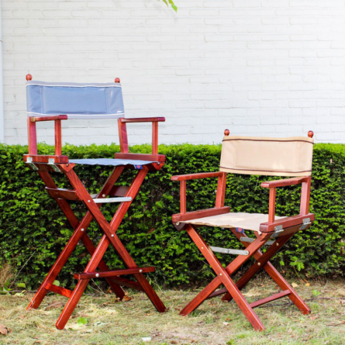 One Director chair