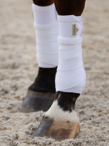 LOIRE POLO BANDAGES - WHITE - LARGE
