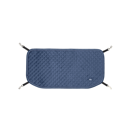 USTEK 27 Blue Door guard